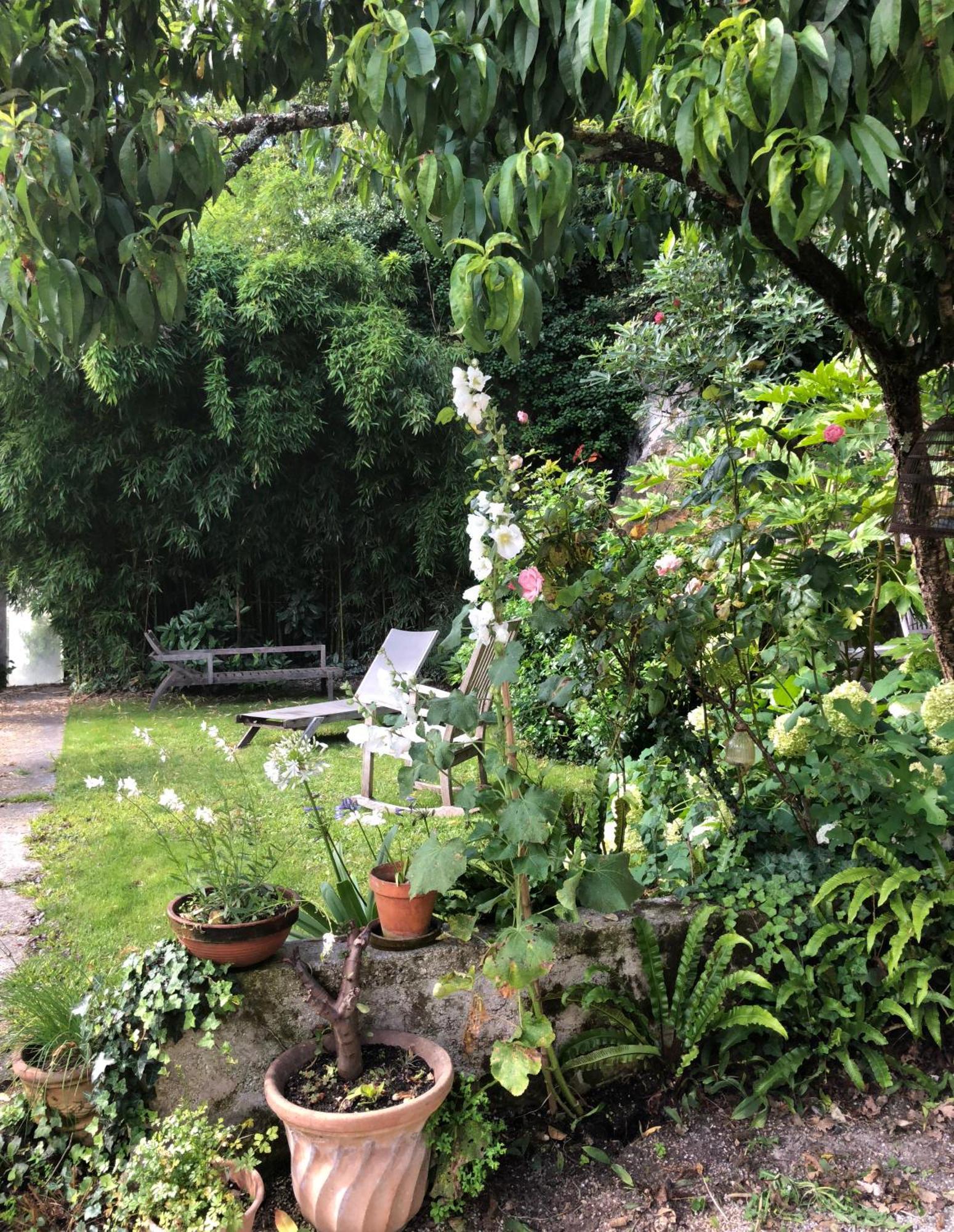L'Heure Bleue Bed & Breakfast Saintes Exterior photo